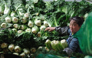 預(yù)算單位采購 破解貧困地區(qū)農(nóng)副產(chǎn)品滯銷難題的有力舉措