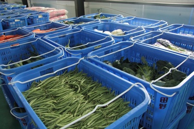 “田野菜籃子” 上海田野農(nóng)副產(chǎn)品配送服務(wù)的創(chuàng)新實踐與價值